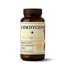 Hongo adaptogeno cordyceps