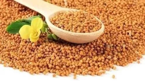 Mostaza en grano