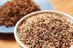 Semilla de quinoa tricolor