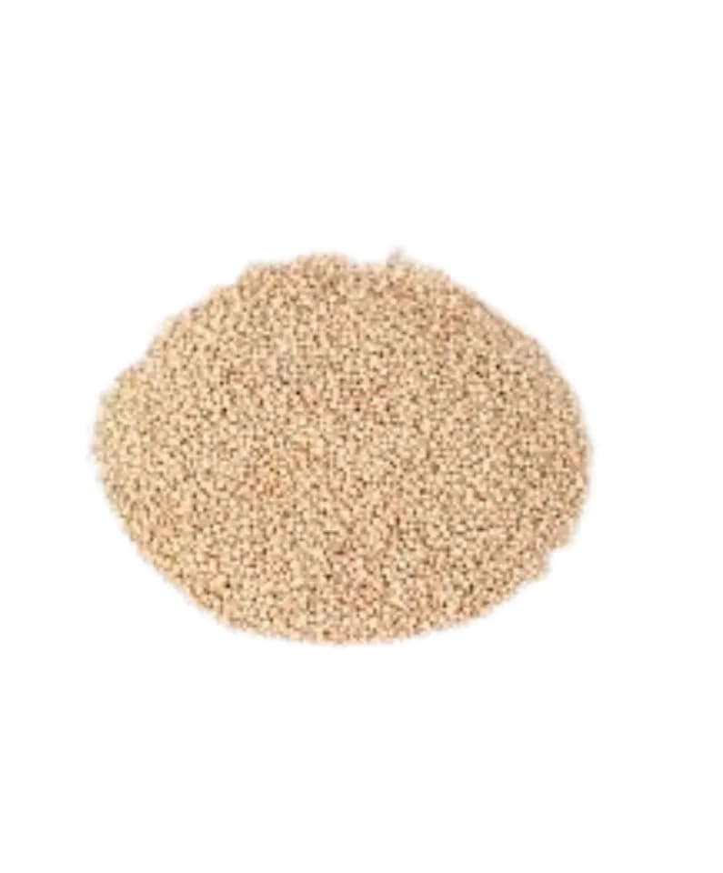 Semilla de quinoa