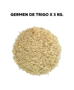 Germen de trigo
