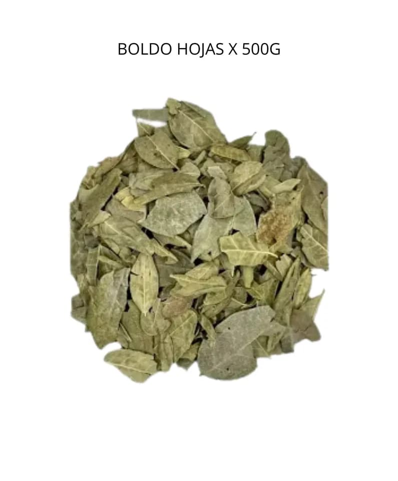 Boldo hojas