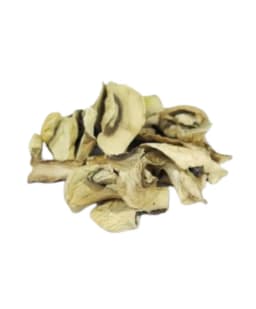 Hongos champignones