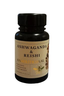 Hongo adaptogeno ashwagandha & reishi
