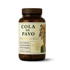 Hongo adaptogeno cola de pavo
