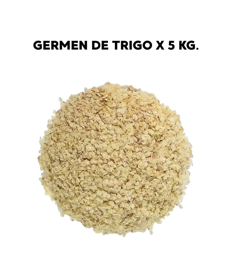 Germen de trigo